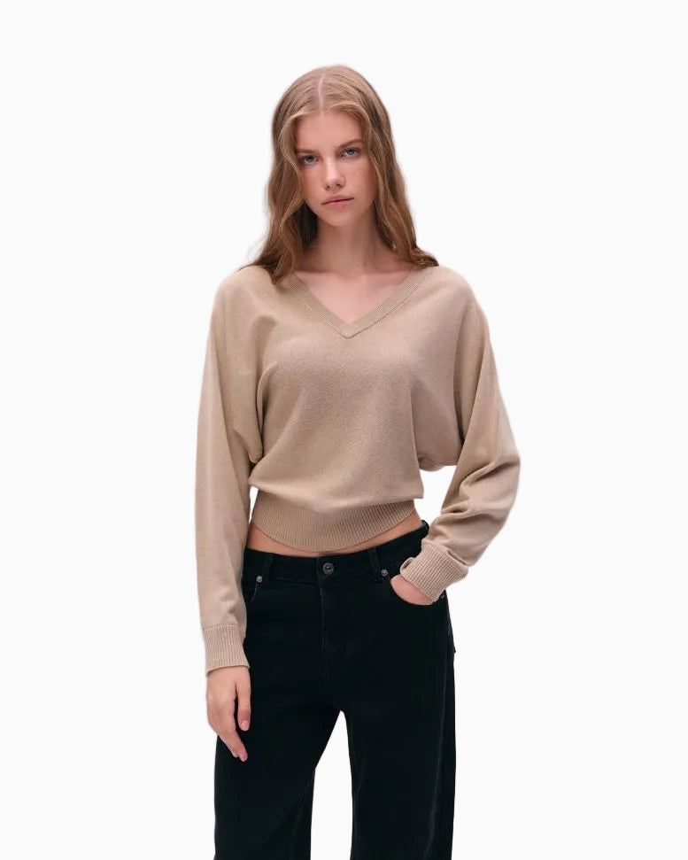 LEIYU LABS Loose V neck Batwing Sleeve Sweater for Women 2026 Autumn New Style Elegant and Slimming Knit Top UTP609A062 image 1