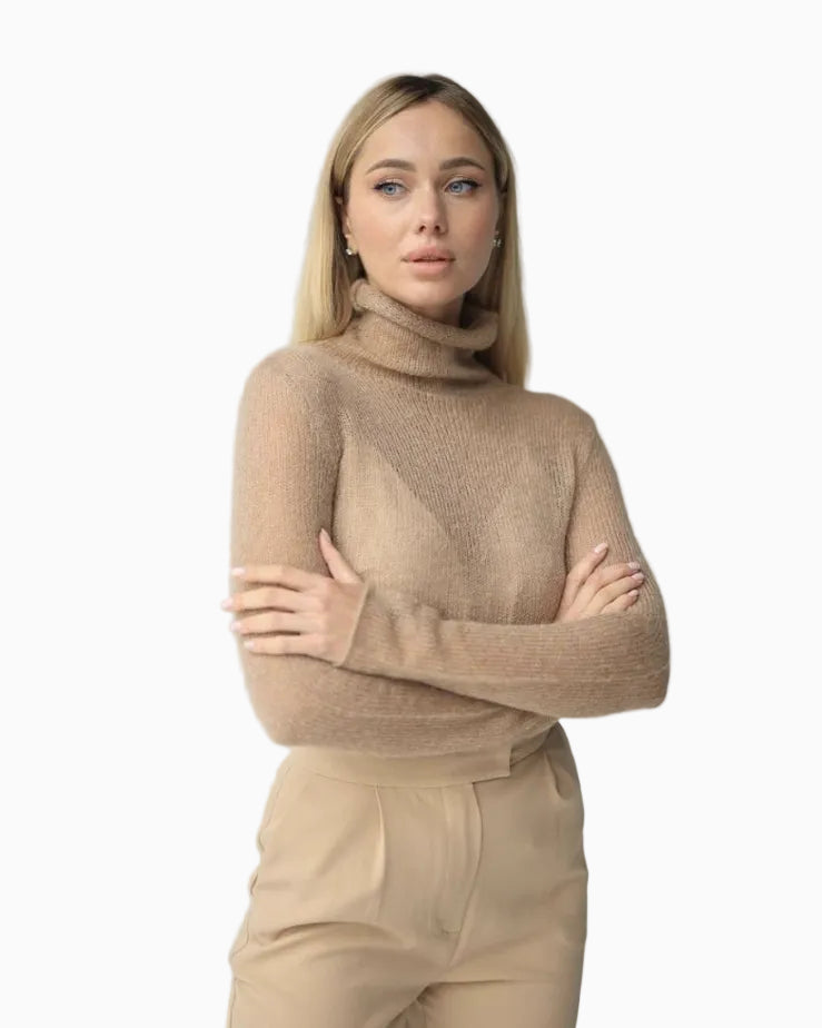 Soft Sheer Turtleneck Long Sleeve Top