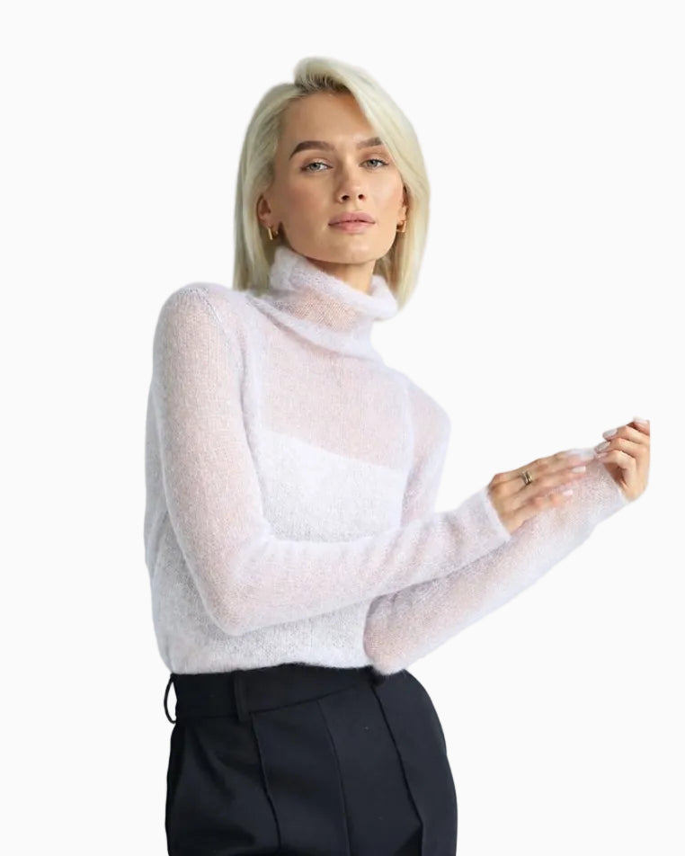 Soft Sheer Turtleneck Long Sleeve Top