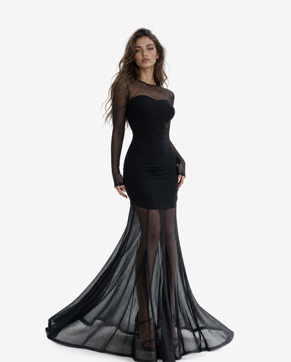 Sheer Mesh Mermaid Maxi Dress