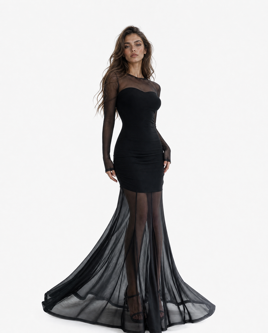 Sheer Mesh Mermaid Maxi Dress